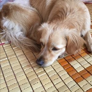 Meet your Posher, Qq